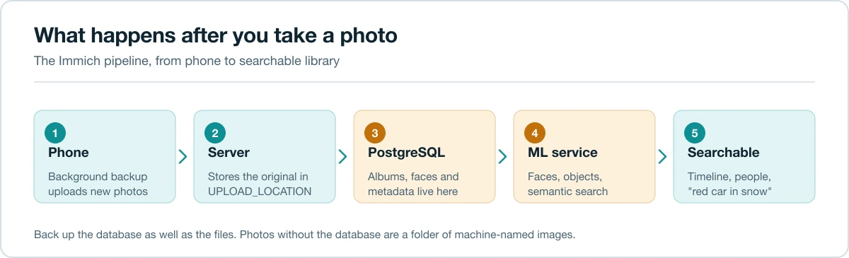Flow diagram showing an Immich photo moving from phone backup to storage, machine learning indexing and search